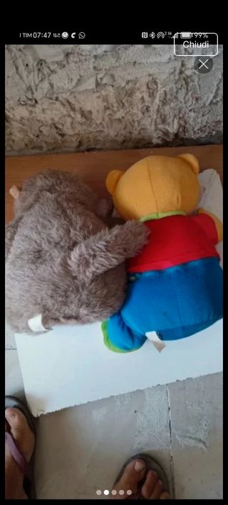 Peluche Orso Parlante e Scimmia