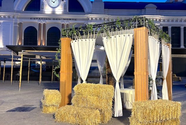 Alpacas de paja decorativas , eventos etc