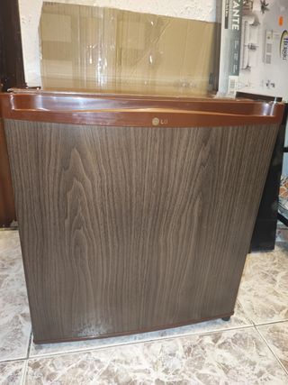 Mini nevera LG