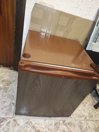 Mini nevera LG