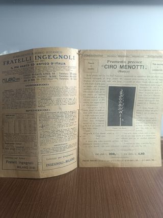 Antico catalogo floricoltura e ortaggi