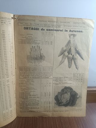 Antico catalogo floricoltura e ortaggi