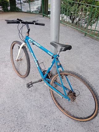 Bicicleta de montaña STIRDAY ALCOTAN