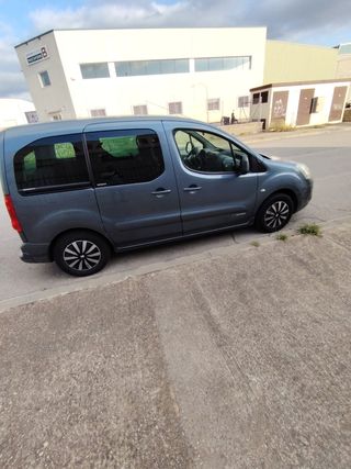 Citroen Berlingo 2009