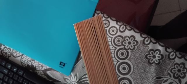 Recovery: Freedom From Our Addictions