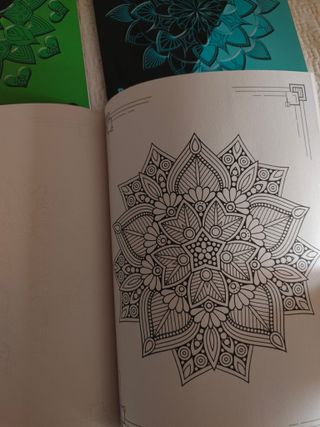Pack 5 libros grandes mandalas pasatiempos nuevos