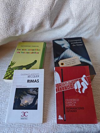 libros diversos 50 sombras de Grey clásicos españa
