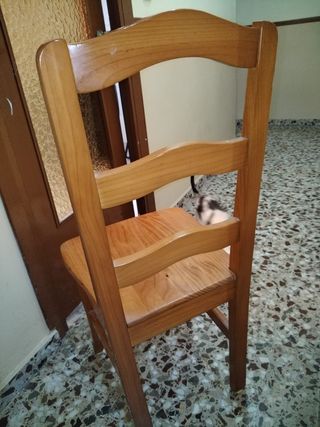 Mesa y 6 sillas de madera
