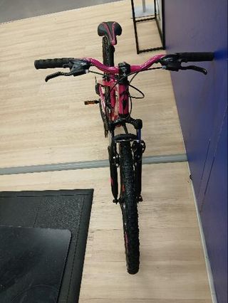 Monty 26"