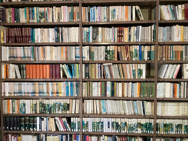 Vendo libros en perfecto estado de diversa autoría