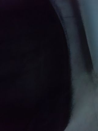 Cama para perro cómoda y acolchada.