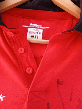 Camisola oficial do país de Gales