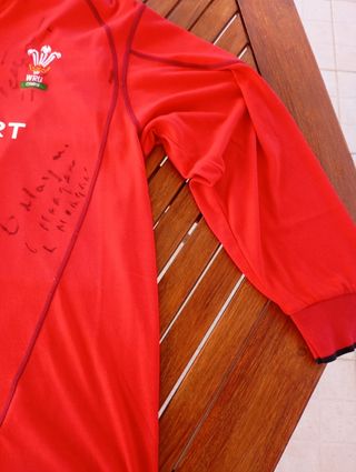 Camisola oficial do país de Gales