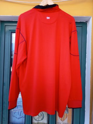 Camisola oficial do país de Gales