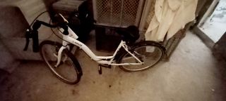 Bicicleta TOPLIFE adulto blanca