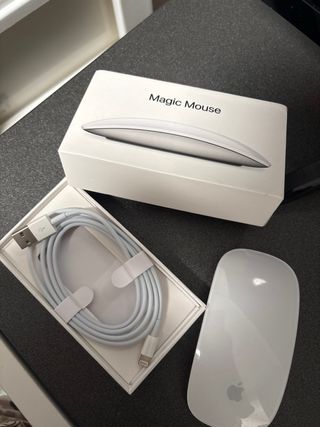 Ratón Magic Mouse Apple Blanco