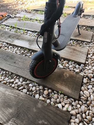 Patinete Eléctrico Xiaomi Pro 2