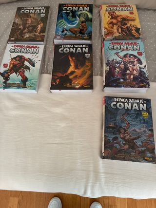La espada salvaje de conan