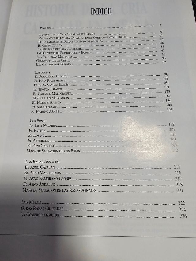 Cría caballar en España, la