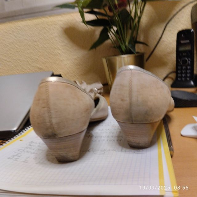 Zapatos Dansi Beige Talla 42