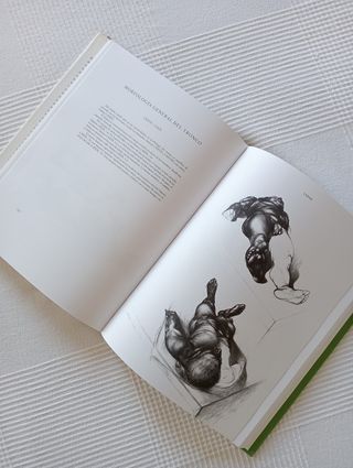 Lote libros Anatomia Artística del cuerpo humano.