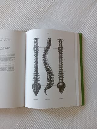 Lote libros Anatomia Artística del cuerpo humano.
