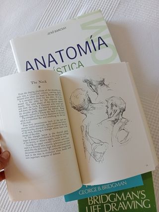Lote libros Anatomia Artística del cuerpo humano.