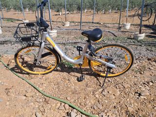 Bicicleta OBike sharing recoger en persona 


