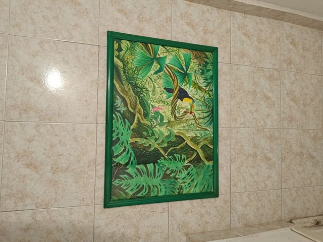 Cuadro Decorativo Selva con Tucán