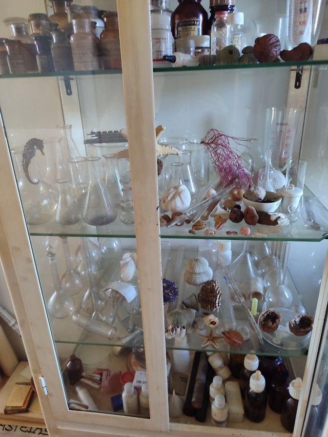 Vitrina antigua médica metálica