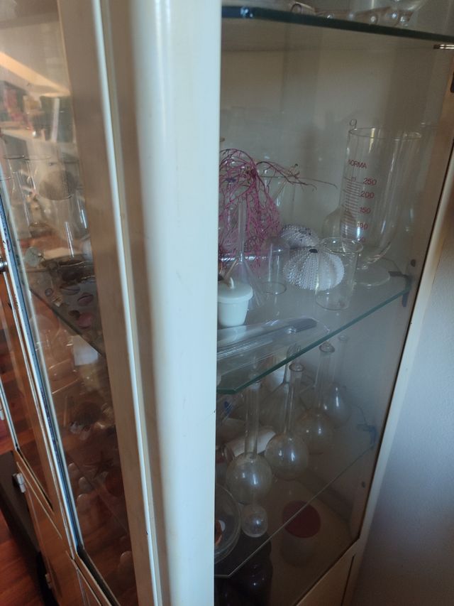 Vitrina antigua médica metálica