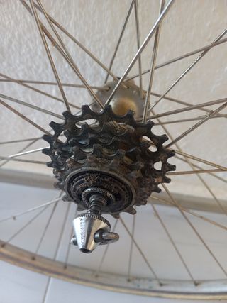 Ruedas Ambrosio 19 Campagnolo