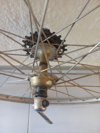 Ruedas Ambrosio 19 Campagnolo
