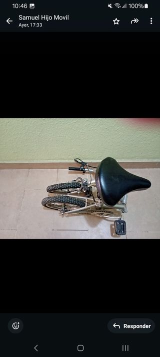 Bicicleta Plegable Plata