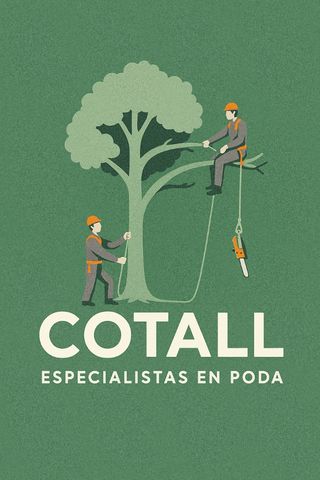 PODA Y TALA DE ÁRBOLES Y PALMERAS
