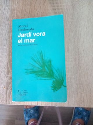 Jardí vora el mar (Club Editor jove) (Catalan E...