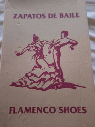 Zapatos de flamenco negros