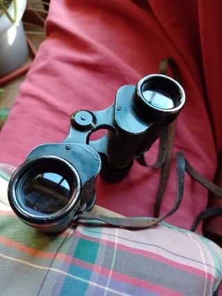 Prismáticos Carl Zeiss Jena Silvarem 6x30 1Q 