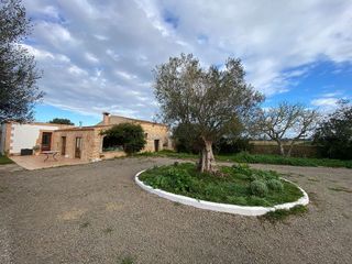 Casa rural en alquiler en Manacor Centro en Manacor