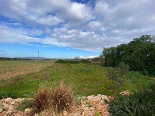 Casa rural en alquiler en Manacor Centro en Manacor