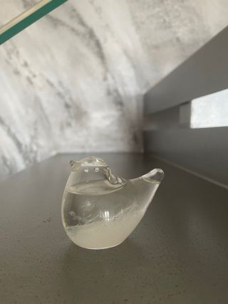 Uccellino barometro segnatempo in vetro