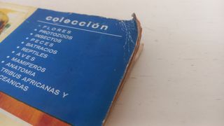 Álbum Vida y Color - Colección Temática. Completo 