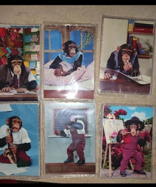Lote Postales Vintage Temática Nativo Americana