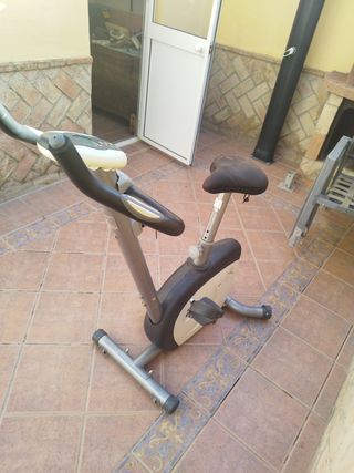 Bicicleta Estática Gris y Blanca Domyos VM150