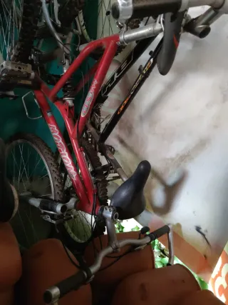 Bicicletas grandes - 25€ cada una Oferta !!