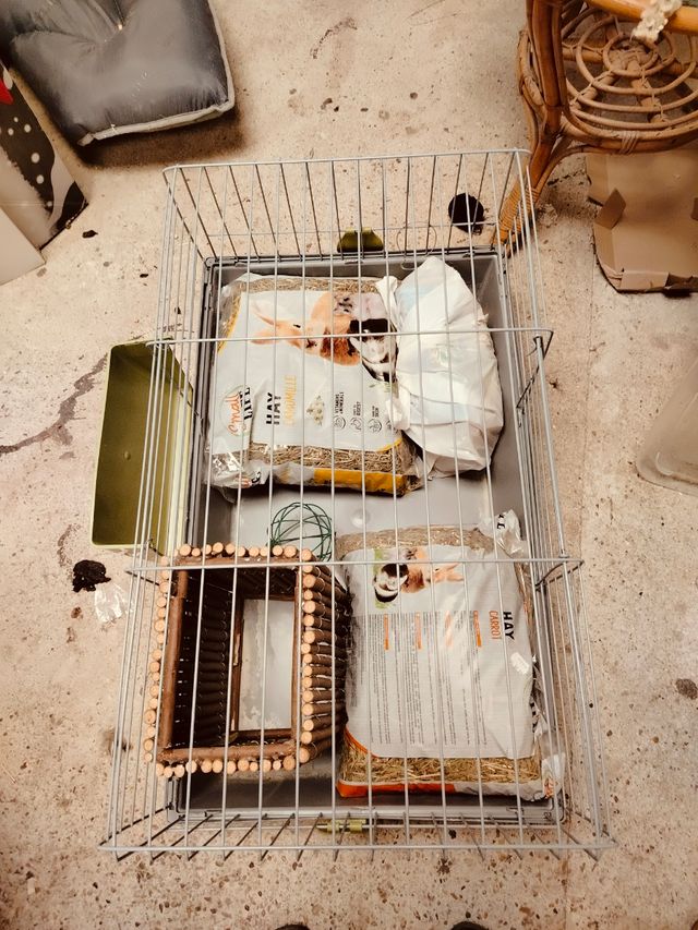 Jaula para conejo o roedor