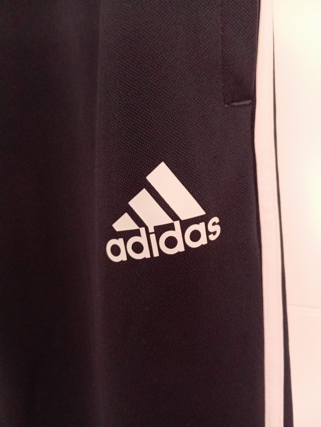 Pantalón chándal Adidas Real Madrid azul