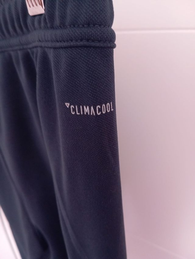 Pantalón chándal Adidas Real Madrid azul