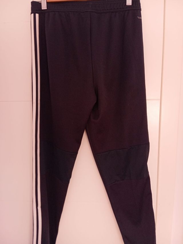 Pantalón chándal Adidas Real Madrid azul