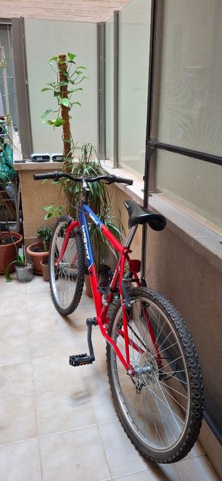 Bicicleta de montaña Longway